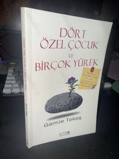 DÖRT ÖZEL ÇOCUK VE BİRÇOK YÜREK - GAMZE TEKEŞ kitap kapağı