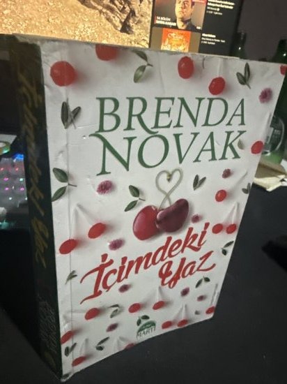 İçimdeki Yaz - Brenda Novak kitap kapağı