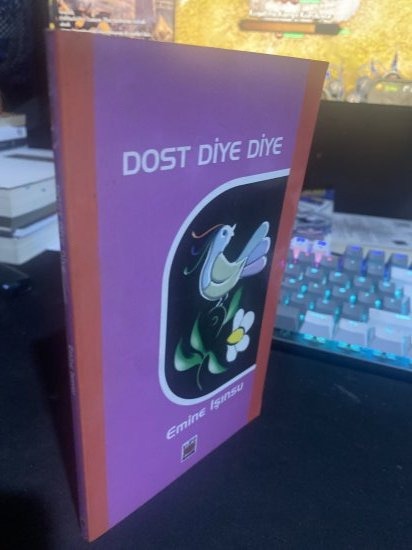 DOST DİYE DİYE - EMİNE IŞINSU kitap kapağı