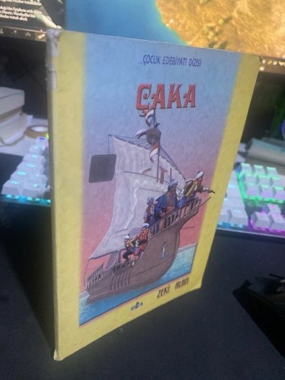 Çaka - Zeki Alan kitap kapağı