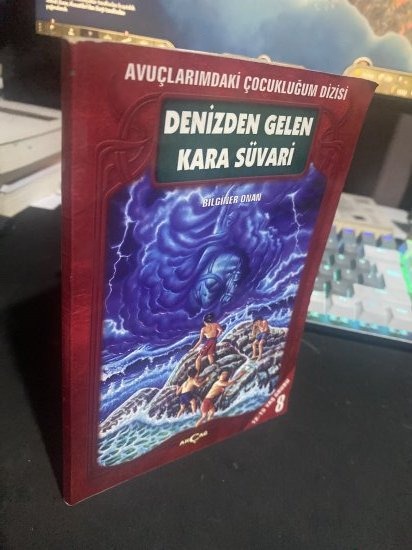 DENİZDEN GELEN KARA SÜVARİ - BİLGİNER ONAN kitap kapağı
