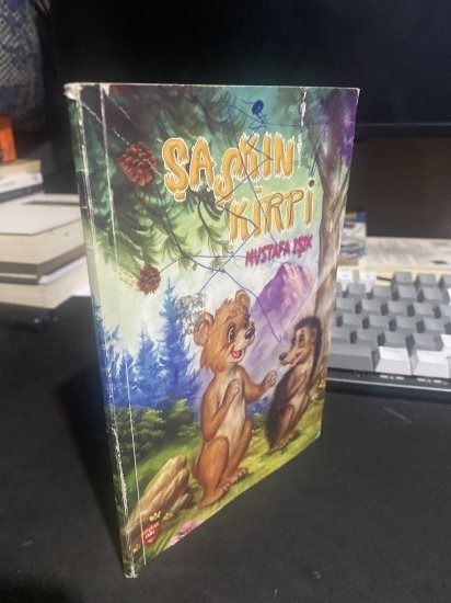 Şaşkın Kirpi (Resimleyen: Aslan Şükür) - Mustafa Işık kitap kapağı