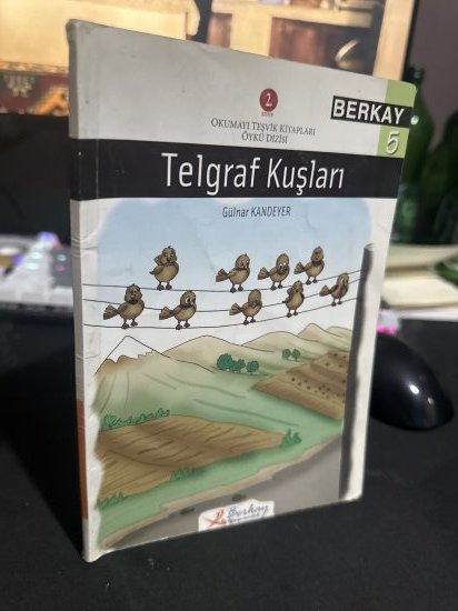 Telgraf Kuşları [Okumayı Teşvik Kitapları - Öykü Dizisi] - GÜLNAR KANDEYER kitap kapağı
