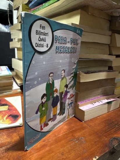 PARA PUL MESELESİ - GÜLNAR KANDEYER kitap kapağı