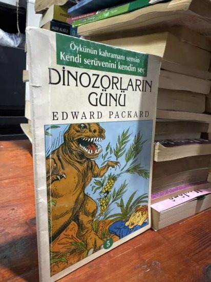 Dinozorların Günü 5 - Edward Packard kitap kapağı