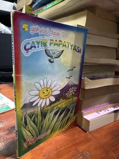 ÇAYIR PAPATYASI