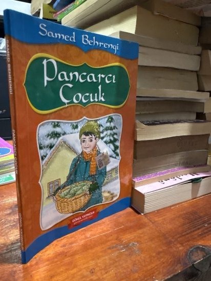 Pancarcı Çocuk